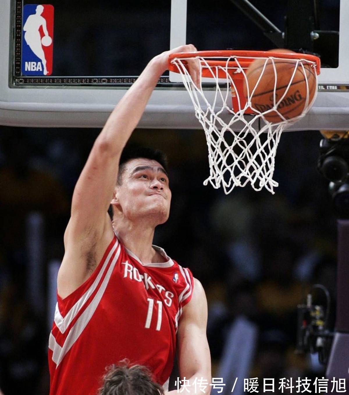 动物油脂精炼设备