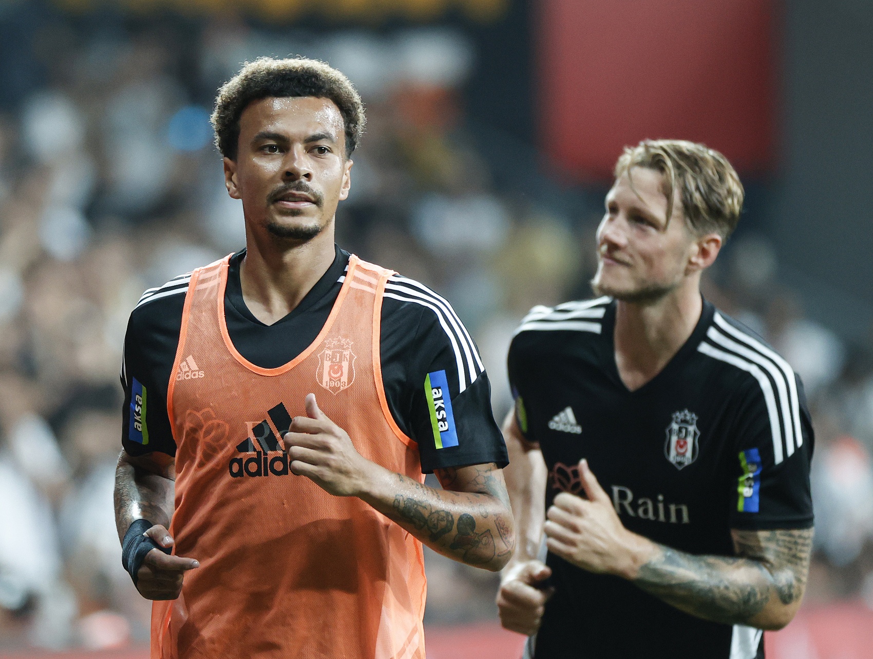 菜籽油热榨和冷榨工艺的区别?