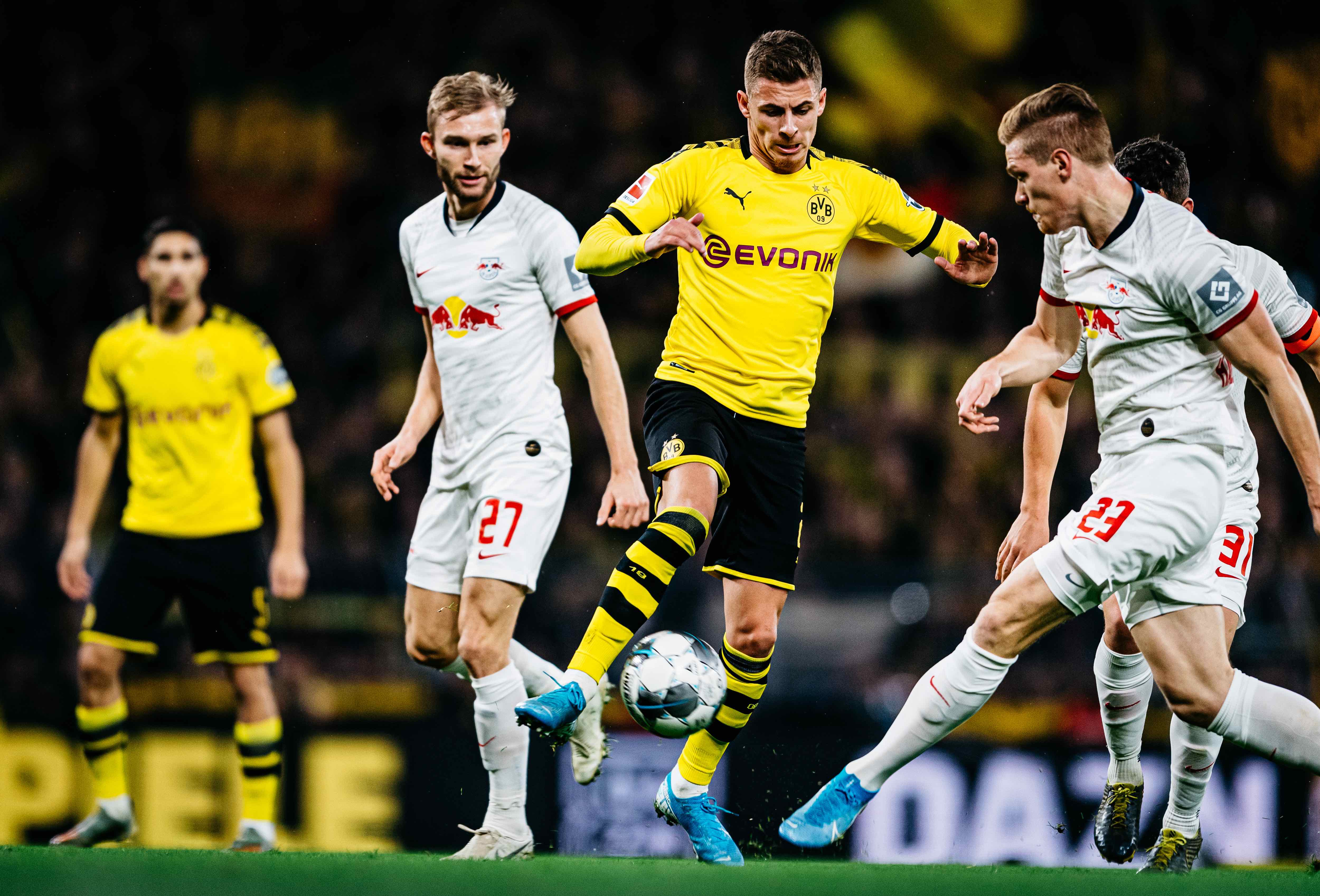 10吨植物油精炼设备